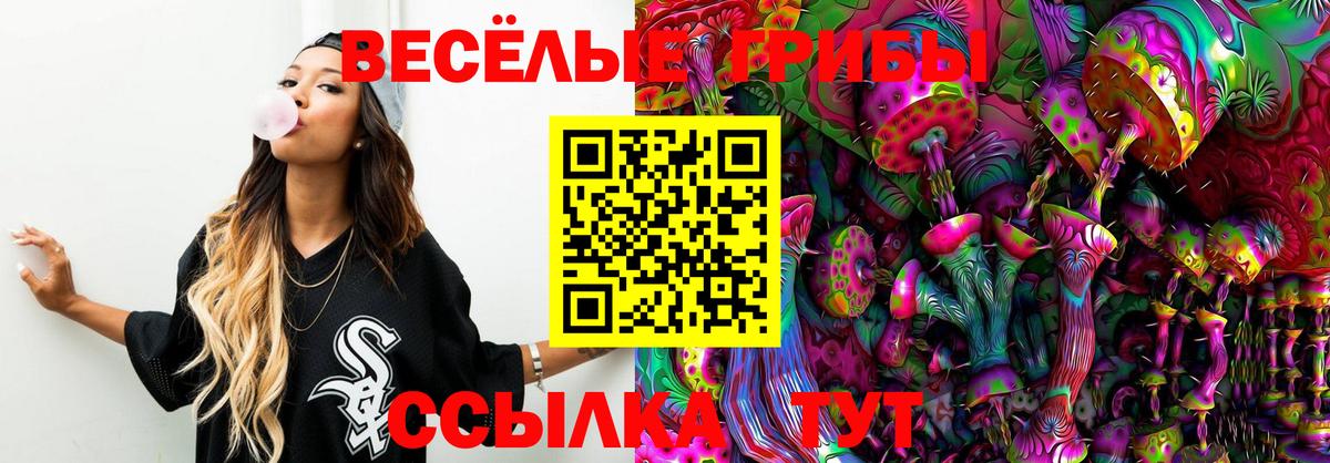 Псилоцибиновые грибы мухоморы  Вход с VPN  Большой Камень 